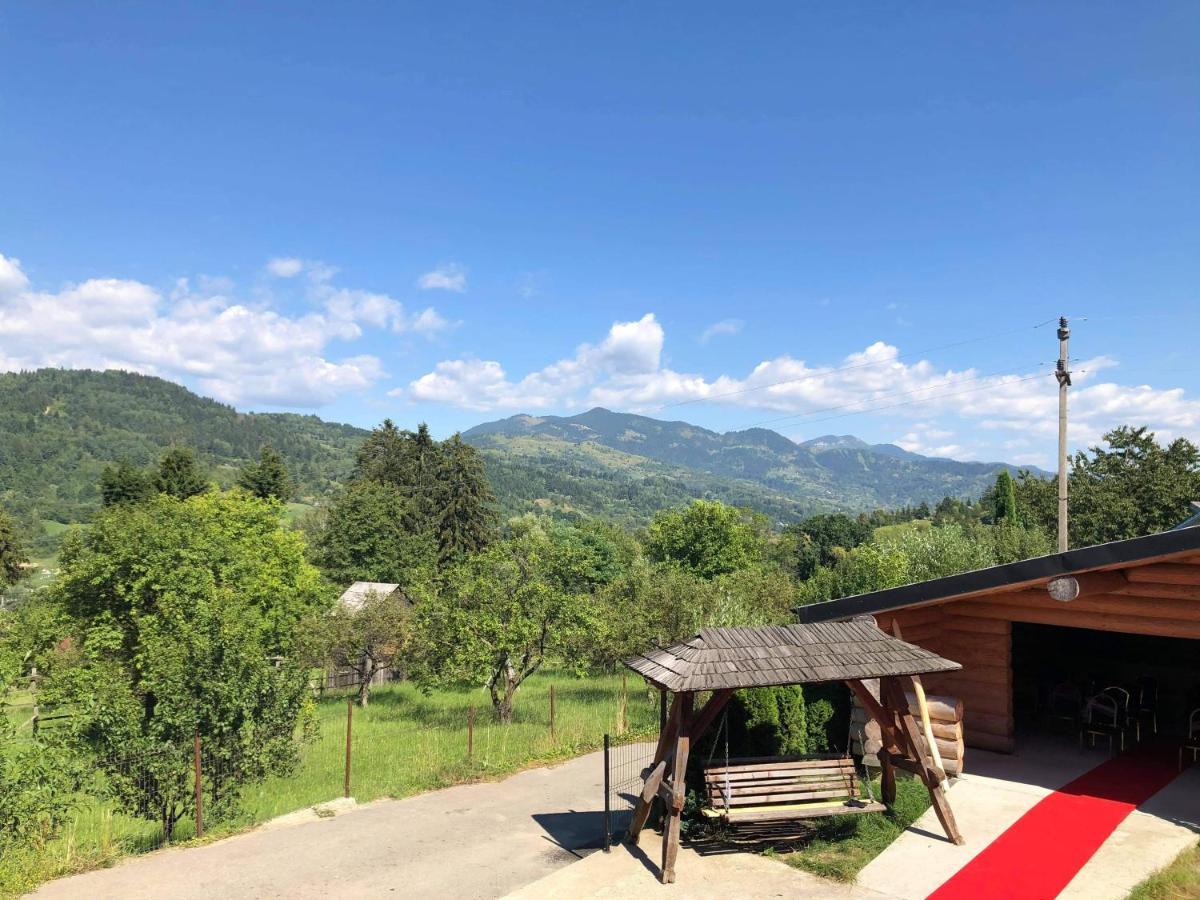 Vila Delut Borşa Exteriér fotografie