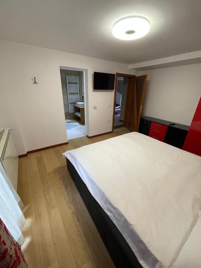 Vila Delut Borşa Exteriér fotografie