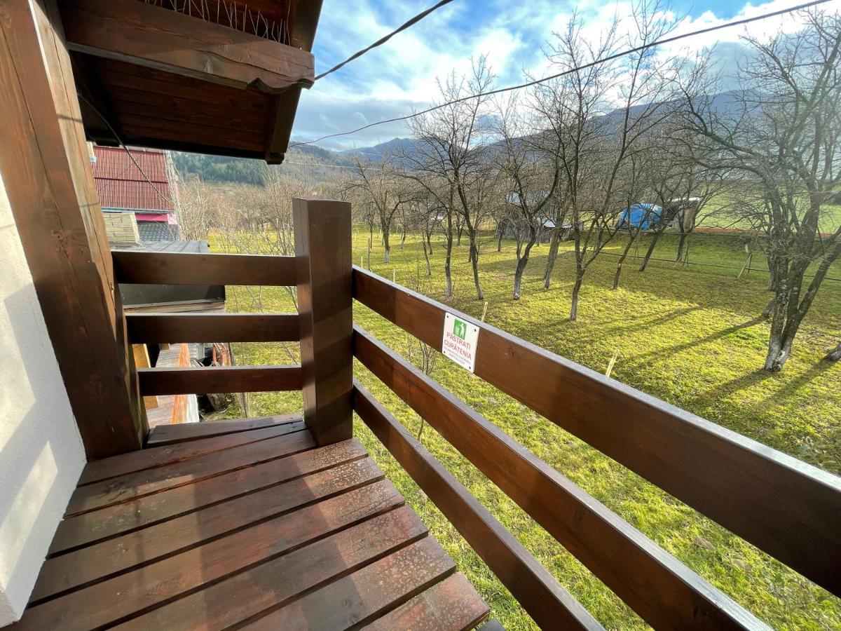 Vila Delut Borşa Exteriér fotografie