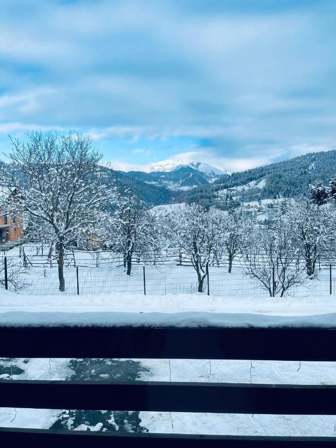 Vila Delut Borşa Exteriér fotografie