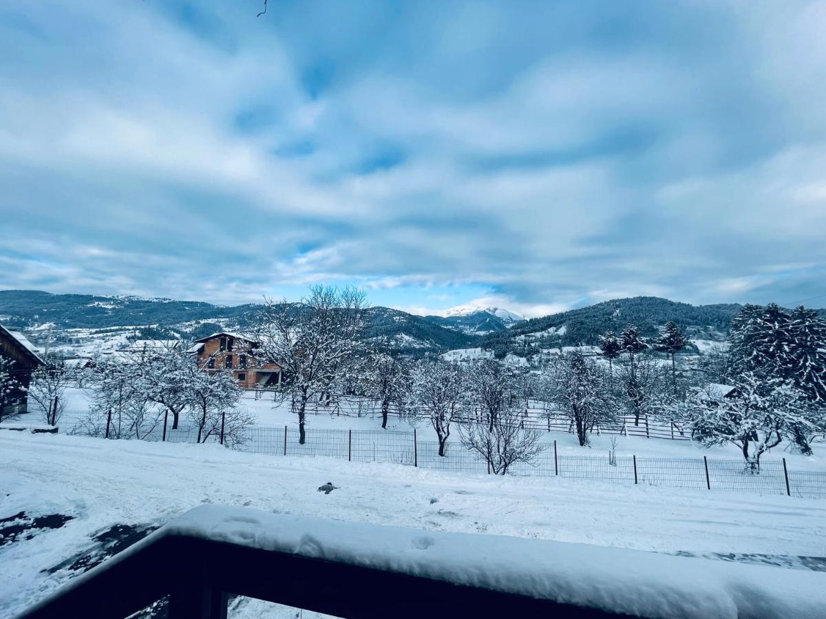 Vila Delut Borşa Exteriér fotografie