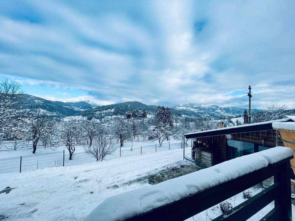 Vila Delut Borşa Exteriér fotografie