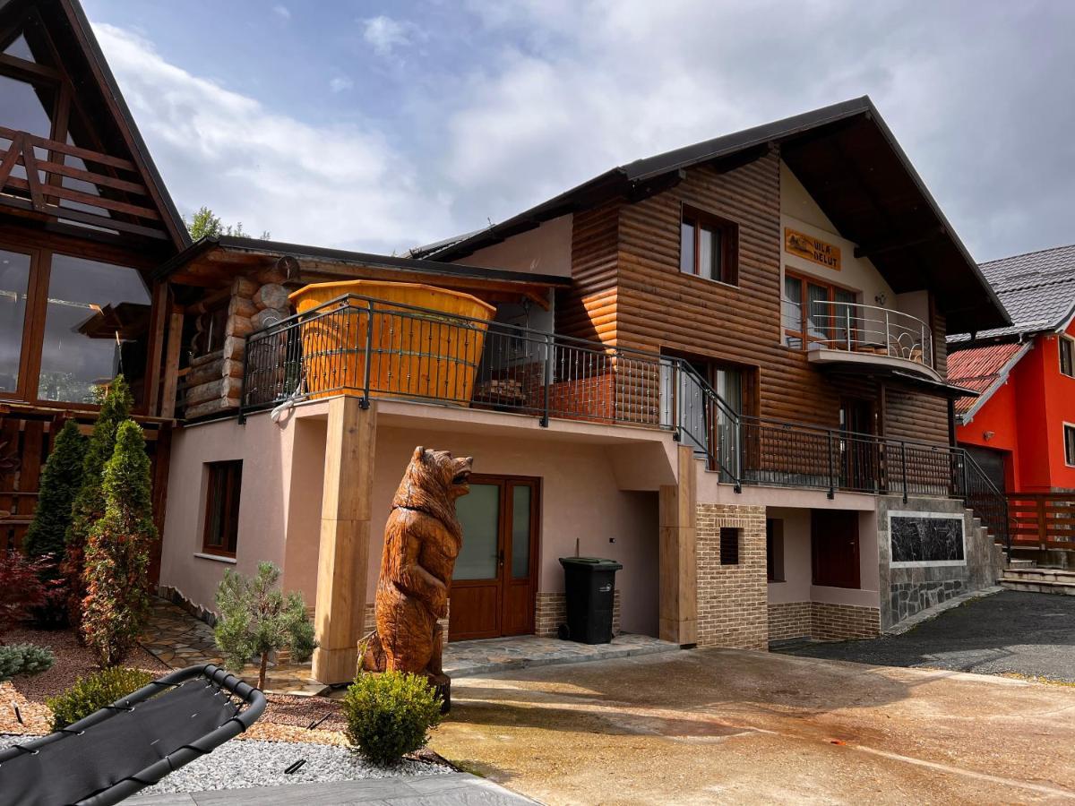 Vila Delut Borşa Exteriér fotografie