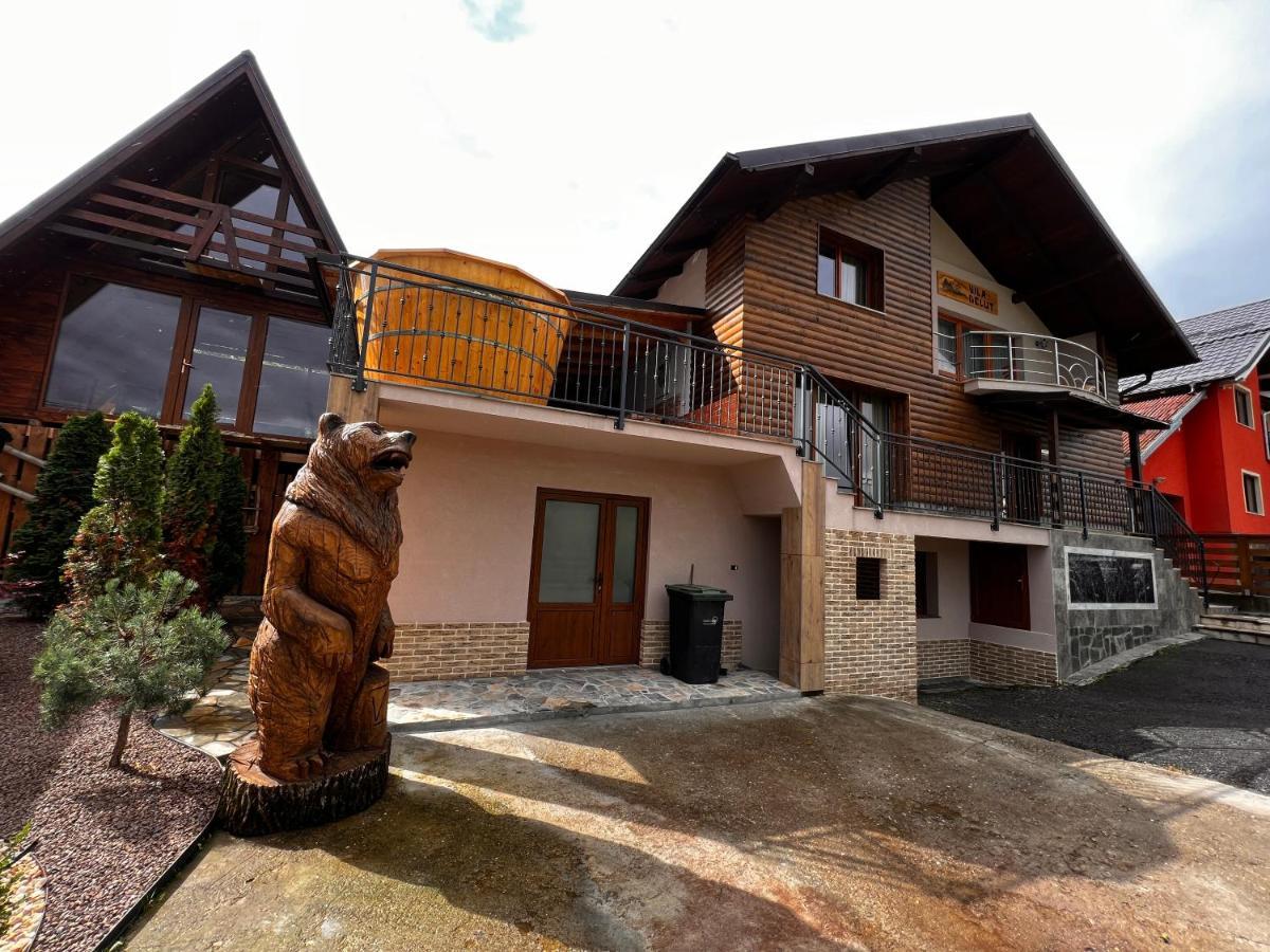 Vila Delut Borşa Exteriér fotografie